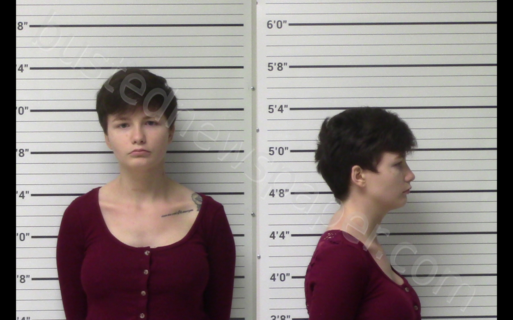 LEMON, HEATHER MICHELLE #, Kerr County, Texas - 2020-04-23