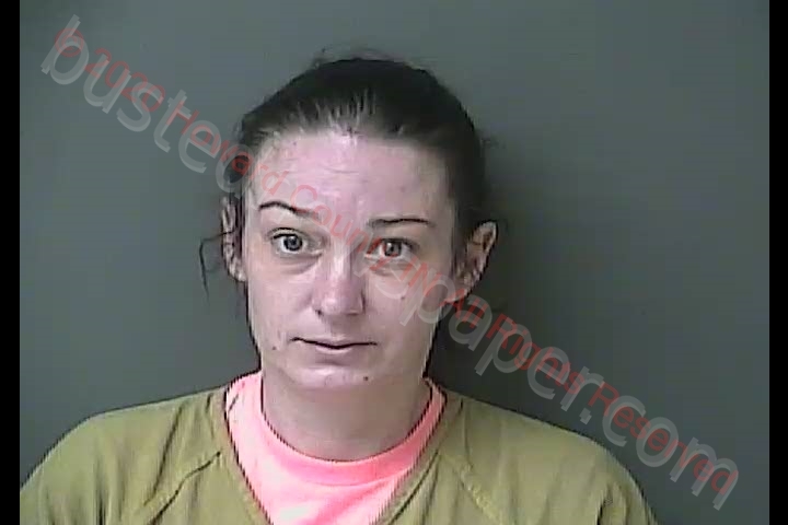 TARA ELIZABETH WEAVER #, Howard County, Indiana - 2020-04-27 04:19:00