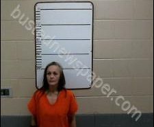 LISA PHILLIPS | 2020-04-27 21:52:00 Morgan County, Tennessee Booking