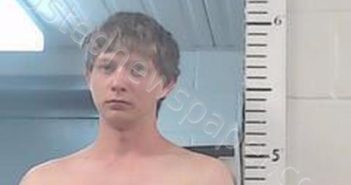 ERIC MICHEAL THOMAS | 2020-04-28 23:28:00 Randolph County, Arkansas Booking