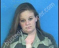 REBECCA JOHNSON | 2020-04-30 19:47:00 Sullivan County, Tennessee Booking
