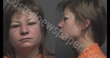 MCCANN,ANDREA LYNN | 2020-04-30 02:25:00 Saline County, Kansas Booking