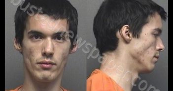 HUDDLESTON,SHANE ANTHONY | 2020-05-01 22:25:00 Saline County, Kansas Booking