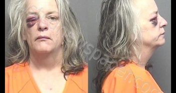 CONSTABLE,MICHELLE LEE | 2020-05-01 14:45:00 Saline County, Kansas Booking