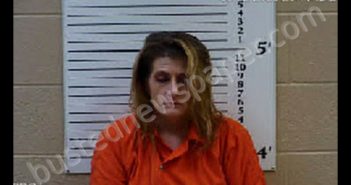 BRYSON, SAVANNAH MARIE | 2020-05-02 21:07:00 Cherokee County, North Carolina Booking