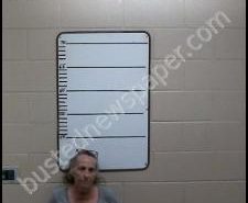 JULIE ERICKSON | 2020-05-03 02:45:00 Morgan County, Tennessee Booking