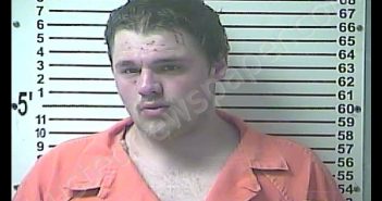 TRISTAN WAYNE HOLLIN | 2020-05-03 09:53:00 Hardin County, Kentucky Booking