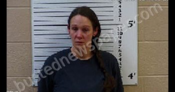 LEIB, AMBER LEEANN | 2020-05-03 02:39:00 Cherokee County, North Carolina Booking