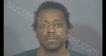 <B>BRANDON</B> WENDELL <B>MANN</B> #, St. Joseph County, Indiana - 2020-05-05 01:53:00