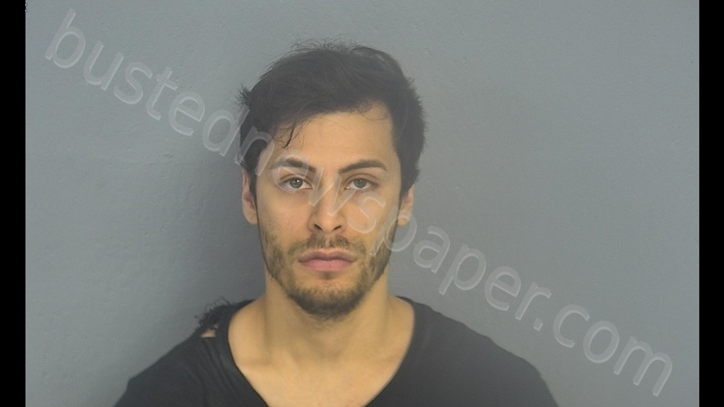 CHRISTIAN ALEJANDRO NAVARRETE #, Greene County, Missouri - 2020-05-05 09:18:00
