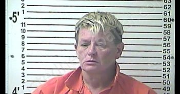 TERRI MARIE MAY | 2020-05-06 19:08:00 Hardin County, Kentucky Booking