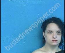 BRITTNEY CONNER | 2020-05-06 15:03:00 Sullivan County, Tennessee Booking