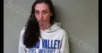 JESSICA LYN JONES | 2020-05-06 23:54:00 Hillsdale County, Michigan Booking