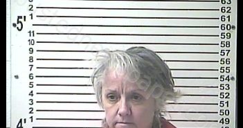 TRACY LAURETTE BERGNER | 2020-05-06 20:14:00 Hardin County, Kentucky Booking