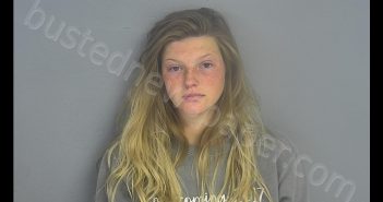 DREA NICOLE SHREVE-SETZER | 2020-05-06 01:21:00 Greene County, Missouri Booking