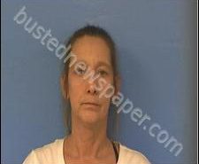 SUSAN MOHAM | 2020-05-06 16:50:00 Sullivan County, Tennessee Booking
