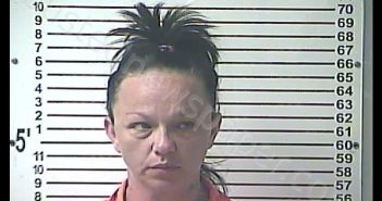 DAWNITA MARIE NEWSON | 2020-05-07 21:54:00 Hardin County, Kentucky Booking
