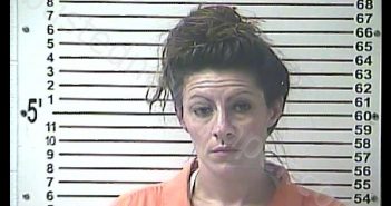 ELIZABETH DAWN PAYTON | 2020-05-08 02:06:00 Hardin County, Kentucky Booking