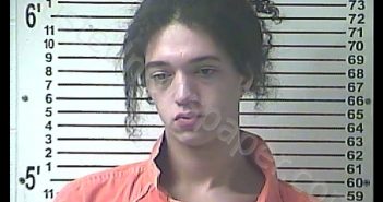 DAYMEN TERRELL HODGE | 2020-05-08 03:09:00 Hardin County, Kentucky Booking