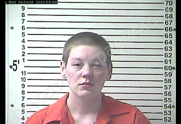 AMBER MARIE LANHAM #, Hardin County, Kentucky - 2020-05-08 05:36:00