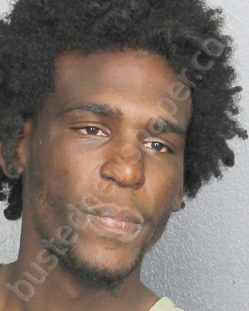 GRAVES, CHRISTOPHER #, Broward County, Florida - 2020-05-09