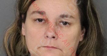 STACY MICHELLE KING | 2020-05-11 07:12:00 Anderson County, South Carolina Booking