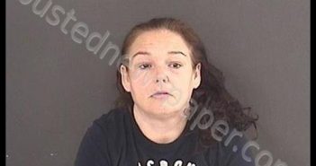 GRAY, BRIDGETT NICOLE | 2020-05-11 22:15:00 Roanoke County, Virginia Booking
