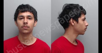 LOZA CASTELAN, ARMANDO | 2020-05-12 Hays County, Texas Booking
