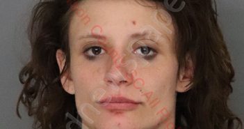 HANNAH NICOLE WATERS | 2020-05-12 00:05:00 Anderson County, South Carolina Booking
