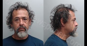GUEVARA, PAULO LARA | 2020-05-13 Hays County, Texas Booking