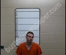 CLARENCE LAYMANCE | 2020-05-14 01:52:00 Morgan County, Tennessee Booking