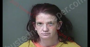JUDITH LADON PRATT | 2020-05-15 02:28:00 Howard County, Indiana Booking