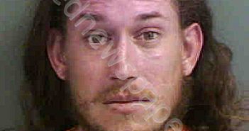 GIANELLO,JAN LUCAS | 2020-05-15 Collier County, Florida Booking