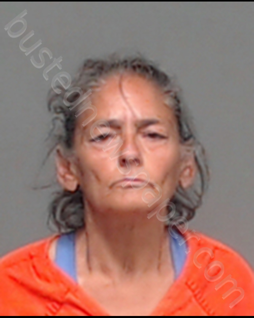 SANDRA DIAZ #, Tom Green County, Texas - 2020-05-16 18:08:00