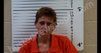 WILCOX, ELLEN DOCKERY | 2020-05-17 13:21:00 Cherokee County, North Carolina Booking
