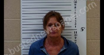 MARCUM, MELISSA ANN | 2020-05-17 16:34:00 Cherokee County, North Carolina Booking