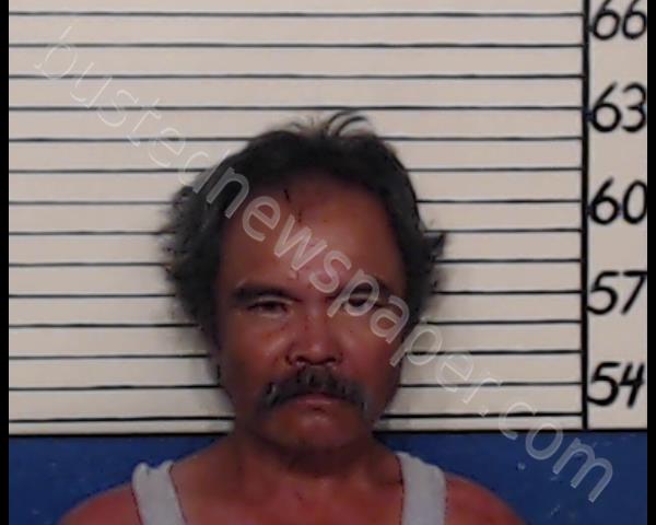 PHILLIPS, DAVID MICHAEL #, Comal County, Texas - 2020-05-18