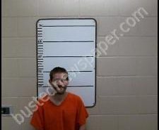 ANDREW ANDERSON | 2020-05-19 14:35:00 Morgan County, Tennessee Booking