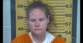 HEATHER NICOLE WAGNER | 2020-05-20 03:14:00 Ottawa County, Ohio Booking
