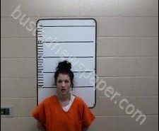 KERSTIN LIVELY | 2020-05-20 16:34:00 Morgan County, Tennessee Booking