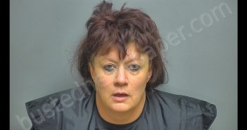 DEBRA LYNN LUNSFORD | 2020-05-22 11:37:00 Amherst County, Virginia Booking