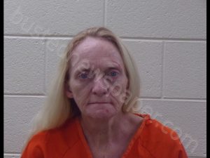Janie Holmes Mugshot | 2020-05-22 14:58:00 Pickens County, Georgia Arrest