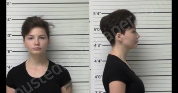<B>LEMON</B>, <B>HEATHER</B> <B>MICHELLE</B> #, Kerr County, Texas - 2020-05-23