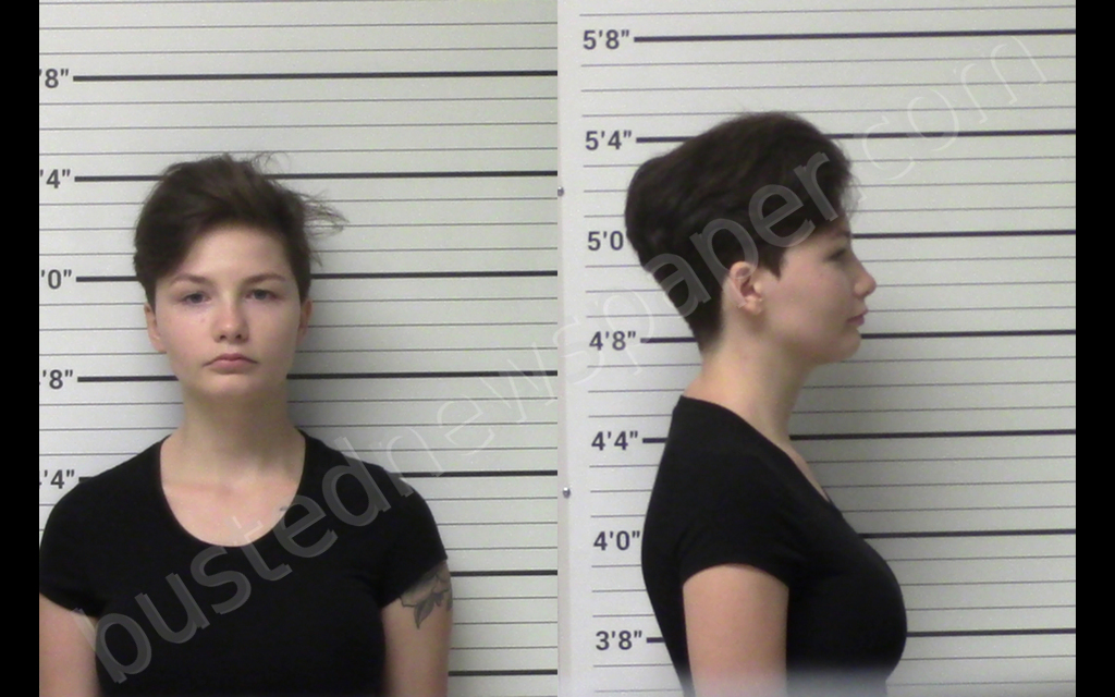 LEMON, HEATHER MICHELLE #, Kerr County, Texas - 2020-05-23