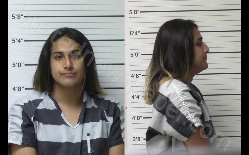 FLORES, CHARLES ALEXANDRO #, Kerr County, Texas - 2020-05-23