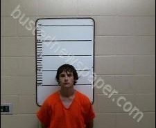 MARK NOE | 2020-05-23 20:27:00 Morgan County, Tennessee Booking