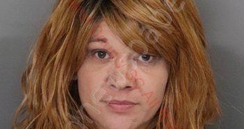 <B>LISA</B> <B>MARIE</B> <B>YON</B>–<B>FLEMING</B> #, Anderson County, South Carolina - 2020-05-23 16:52:00