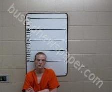 KARA GREEN | 2020-05-27 02:53:00 Morgan County, Tennessee Booking