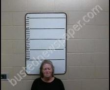 JACQUELYNN BURGESS | 2020-05-27 01:50:00 Morgan County, Tennessee Booking