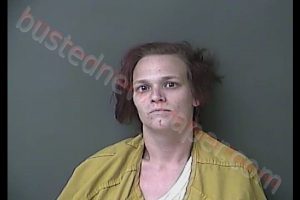 KYLEE NICOLE DUKE | 2020-05-27 18:22:00 Howard County, Indiana Booking